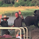 Hillary with Bill watching elephants in Botswana, in 1998.